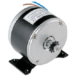 250W Motor - 24 Volts (Style: MY1016)